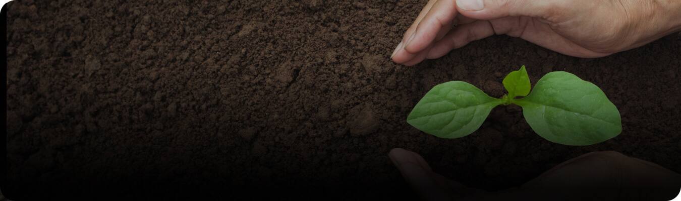 Sustainable dental care products