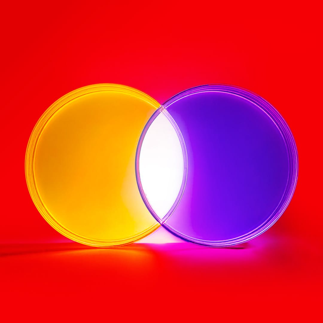 Lingkaran kuning dan ungu dengan area persimpangan putih di tengah